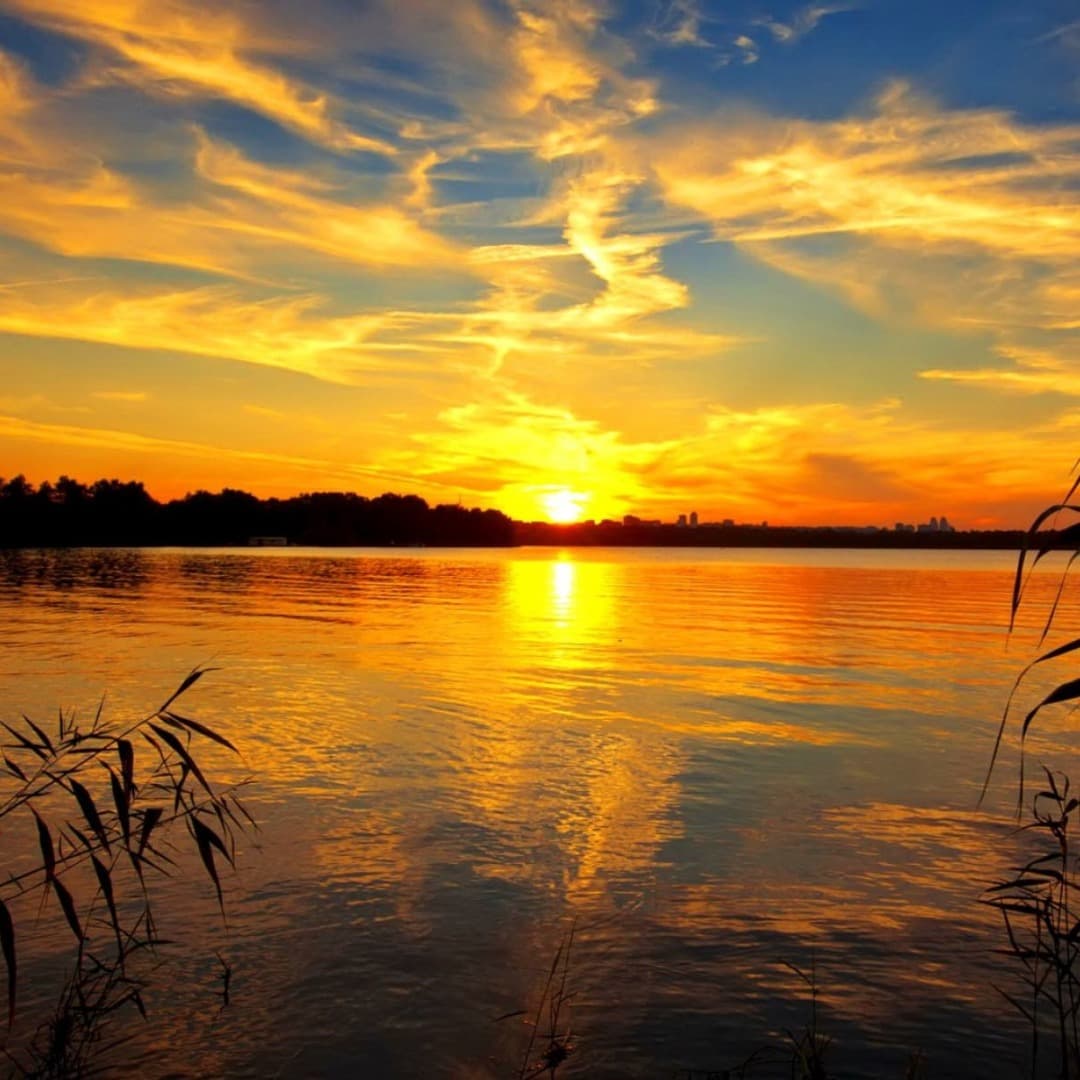 Golden Sunset on the Zambezi